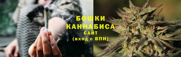 ALPHA PVP Каменногорск
