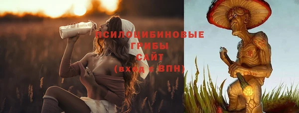 ALPHA PVP Каменногорск