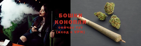 ALPHA PVP Каменногорск
