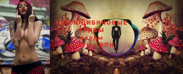 мет Каменка